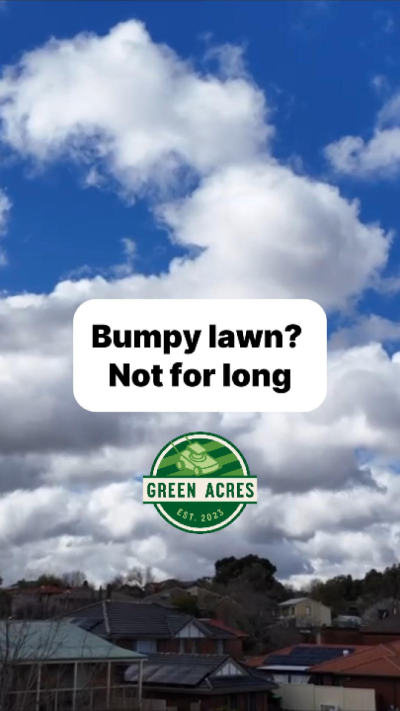 Bumpy Lawn