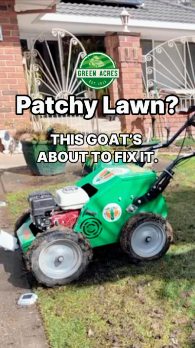 Patchy Lawn