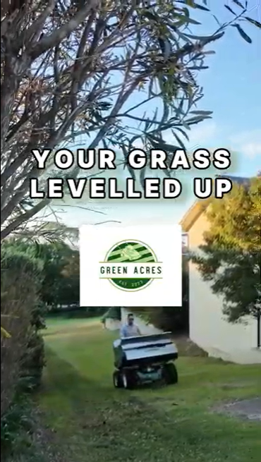 Your Grass Levelled Up